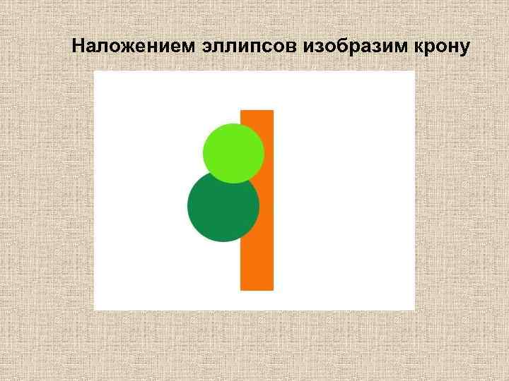 Наложением эллипсов изобразим крону 