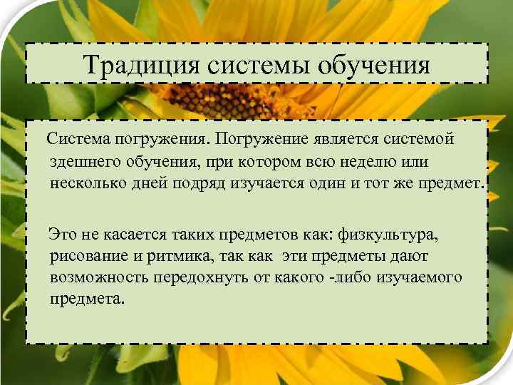 Традиция системы обучения Система погружения. Погружение является системой здешнего обучения, при котором всю неделю