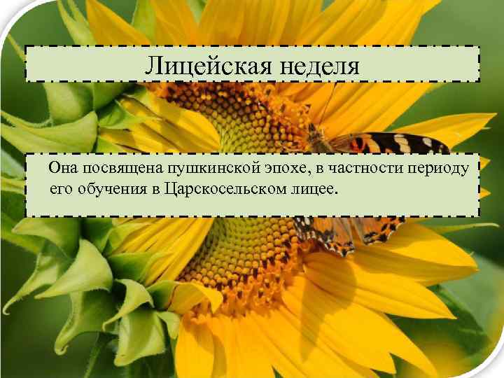 Лицейская неделя Она посвящена пушкинской эпохе, в частности периоду его обучения в Царскосельском лицее.