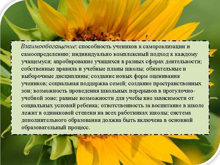 Взаимообогащение: способность учеников к самореализации и самоопределению; индивидуально комплексный подход к каждому учащемуся; апробирование
