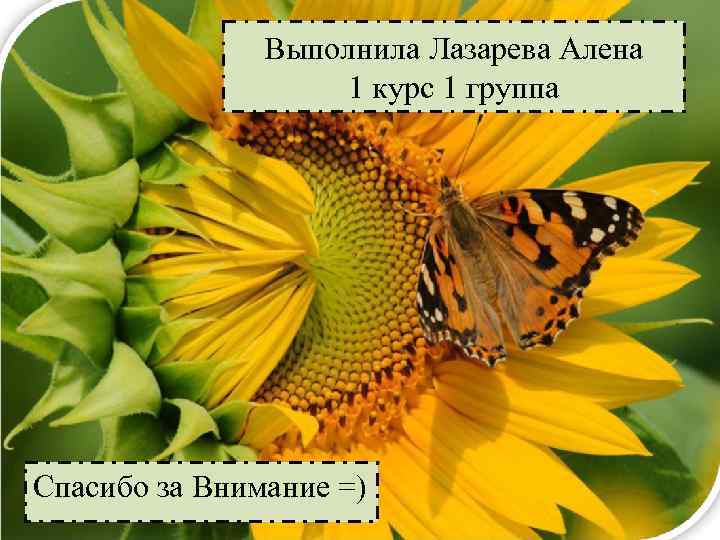 Выполнила Лазарева Алена 1 курс 1 группа Спасибо за Внимание =) 