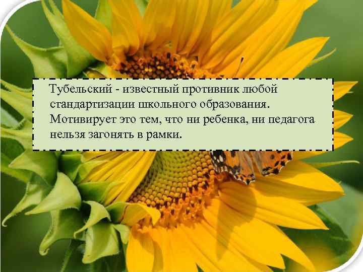 Тубельский - известный противник любой стандартизации школьного образования. Мотивирует это тем, что ни ребенка,