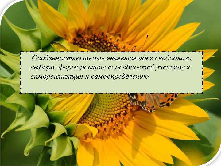 Особенностью школы является идея свободного выбора, формирование способностей учеников к самореализации и самоопределению. 