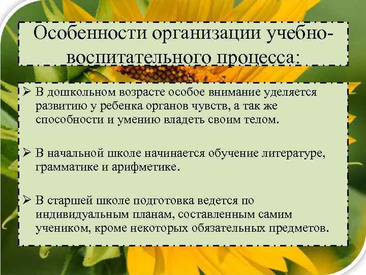 Особенности организации учебновоспитательного процесса: Ø В дошкольном возрасте особое внимание уделяется развитию у ребенка