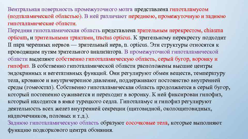 Вентральная поверхность промежуточного мозга представлена гипоталамусом (подталамической областью). В ней различают переднюю, промежуточную и