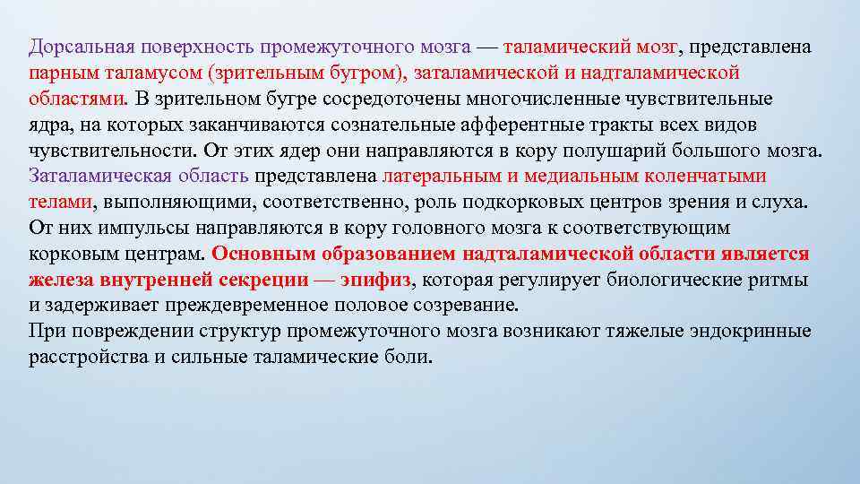 Дорсальная поверхность промежуточного мозга — таламический мозг, представлена парным таламусом (зрительным бугром), заталамической и