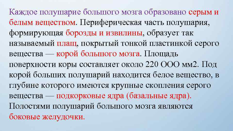 Каждое полушарие большого мозга образовано серым и белым веществом. Периферическая часть полушария, формирующая борозды