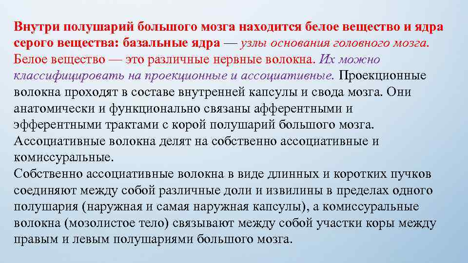 Внутри полушарий большого мозга находится белое вещество и ядра серого вещества: базальные ядра —