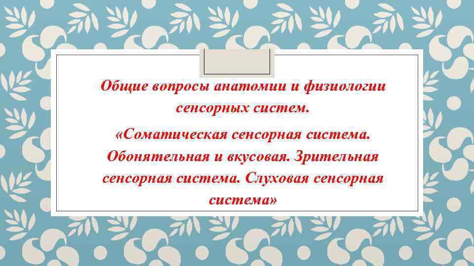 Общие вопросы анатомии и физиологии сенсорных систем. «Соматическая сенсорная система. Обонятельная и вкусовая. Зрительная