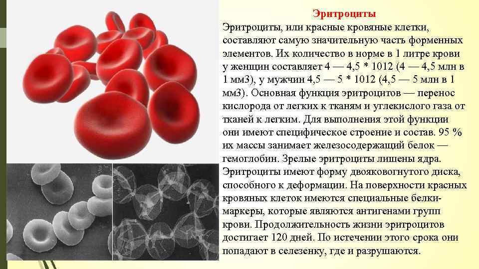 Посмотрите на изображение эритроцитов в разной среде в каком