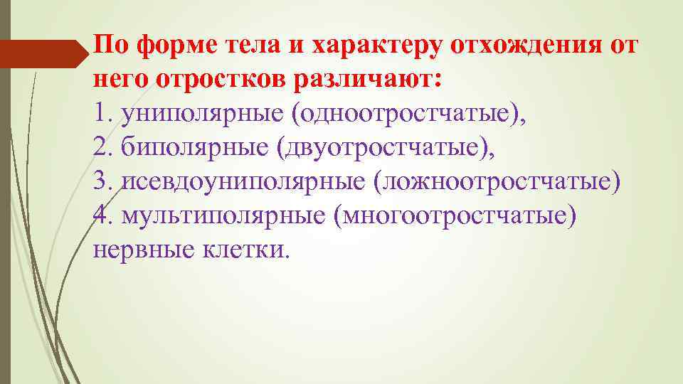 По форме тела и характеру отхождения от него отростков различают: 1. униполярные (одноотростчатые), 2.