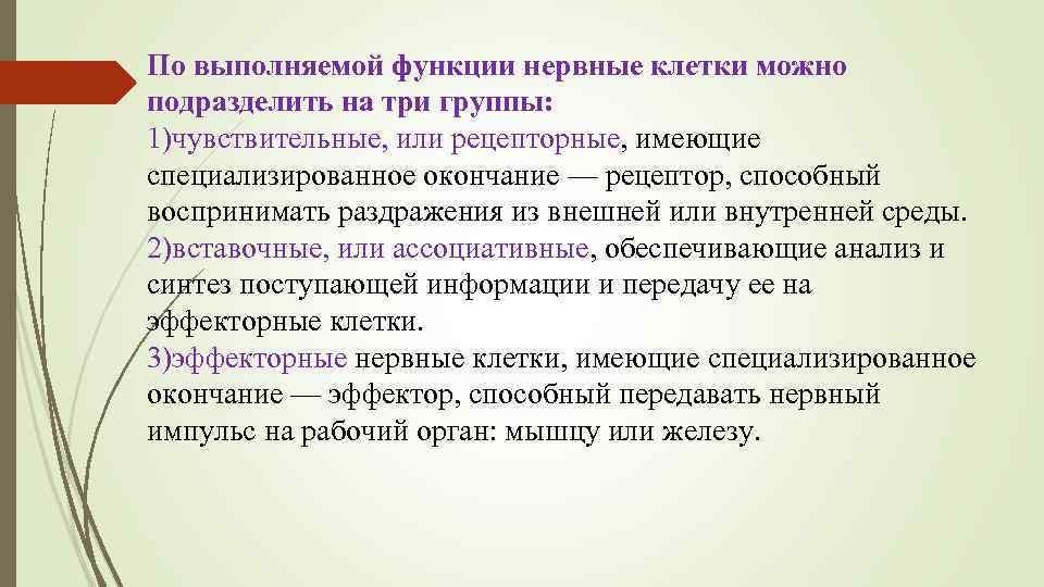 Синтез поступающей информации. Клетки, воспринимающие раздражения из внешней и внутренней среды:. Основы гистологии ткани анатомия. Клетки способные воспринимать раздражение.