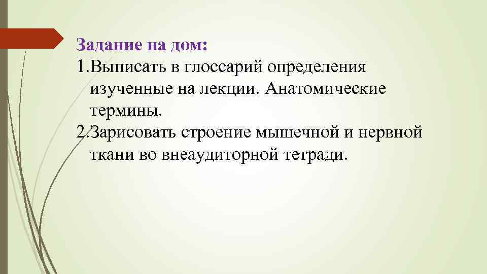 Задание на дом: 1. Выписать в глоссарий определения изученные на лекции. Анатомические термины. 2.