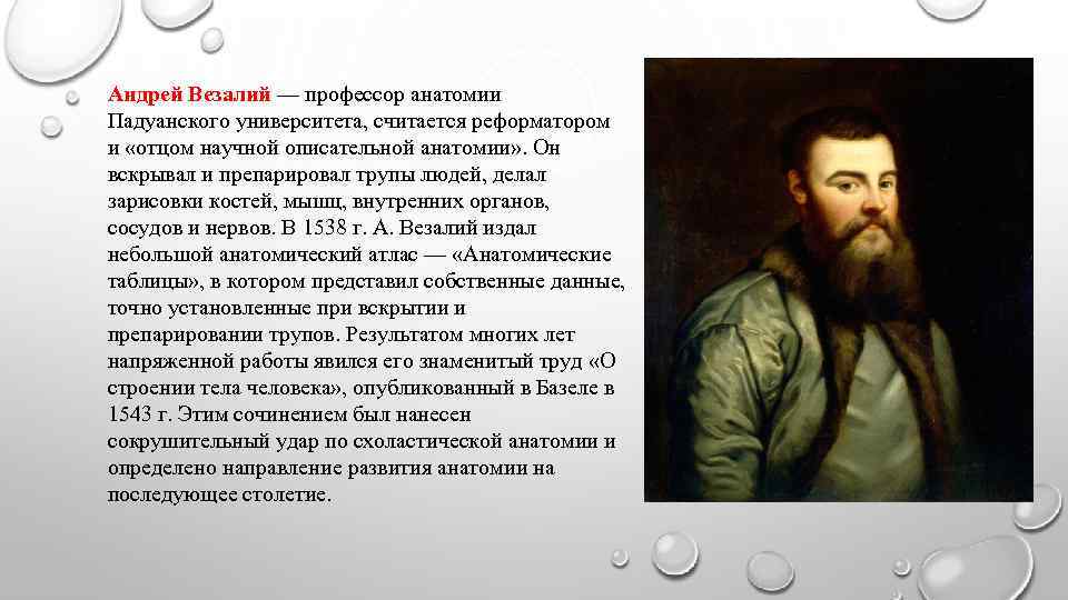 Андрей Везалий — профессор анатомии Падуанского университета, считается реформатором и «отцом научной описательной анатомии»