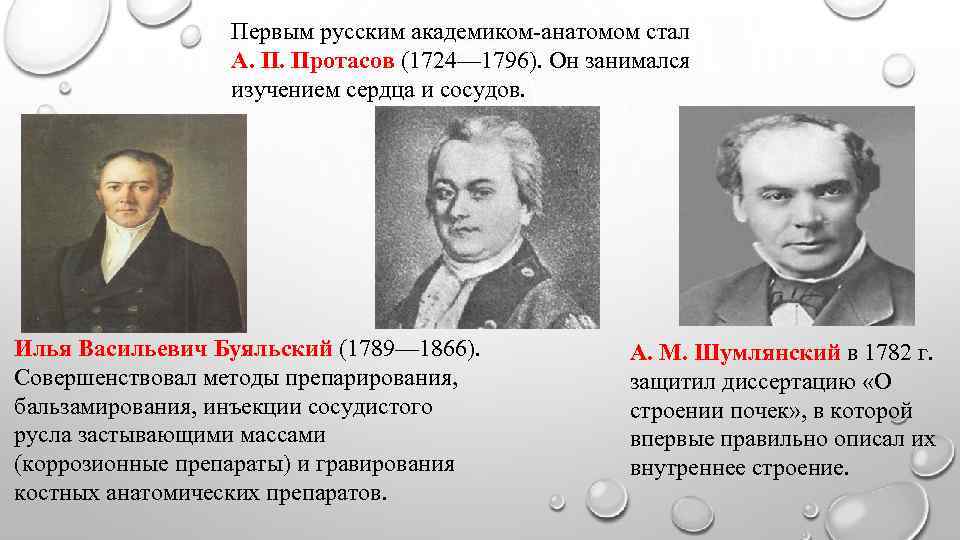 G f b d. А. П. Протасов (1724–1796). Алексей Протасьевич Протасов анатомия. Анатом-академик а.п. Протасов. Протасов 18 век.