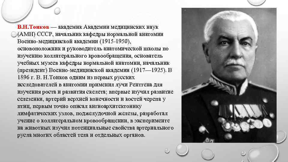 В. Н. Тонков — академик Академии медицинских наук (АМН) СССР, начальник кафедры нормальной анатомии