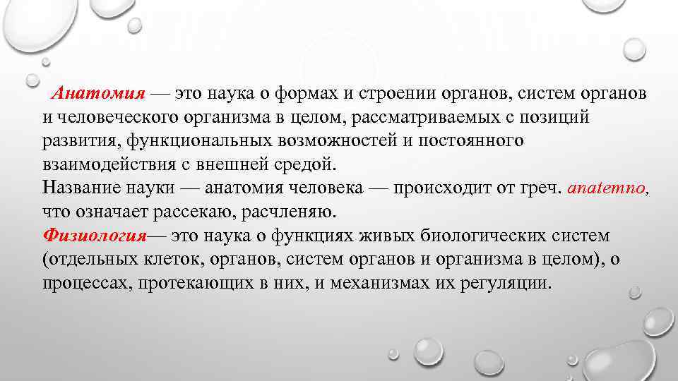 Анатомия это простыми словами. Анатомия это наука. Формы науки. Предмет изучения дисциплины анатомия человека. Анатомия как наука презентация.