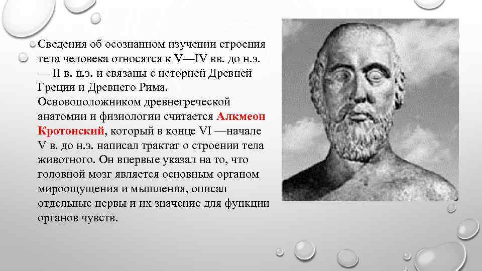 Сведения об осознанном изучении строения тела человека относятся к V—IV вв. до н. э.