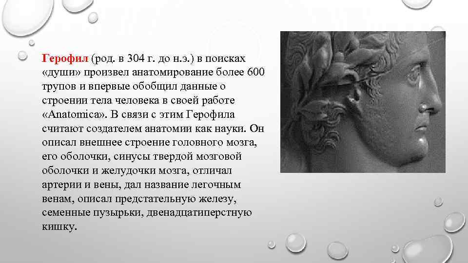 Герофил (род. в 304 г. до н. э. ) в поисках «души» произвел анатомирование
