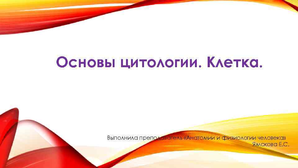 Основы цитологии. Клетка. Выполнила преподаватель «Анатомии и физиологии человека» Ямскова Е. С. 