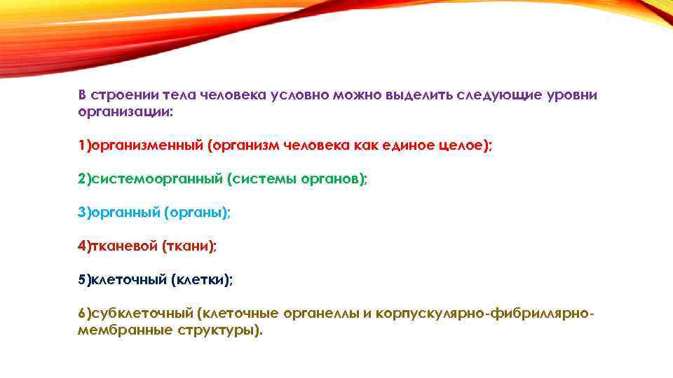 Уровень стр. Уровни организации строения тела человека. В организме человека можно выделить следующие уровни организации. Уровни организации человека анатомия и физиология. 3. Уровни организации строения тела человека..