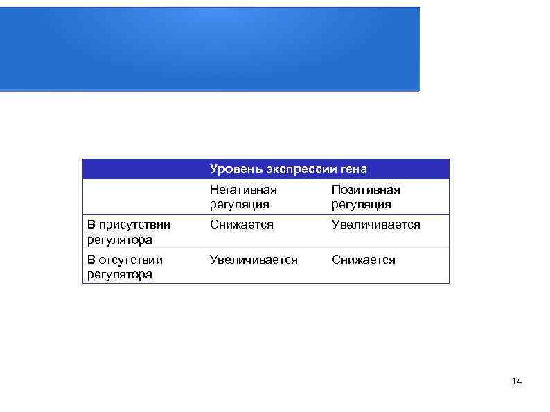 Уровень экспрессии гена Негативная регуляция Позитивная регуляция В присутствии регулятора Снижается Увеличивается В отсутствии