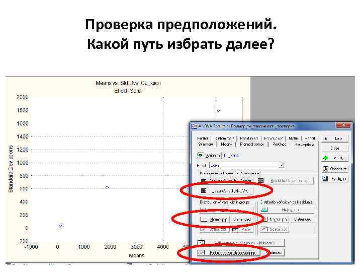 Проверка предположений. Какой путь избрать далее? 
