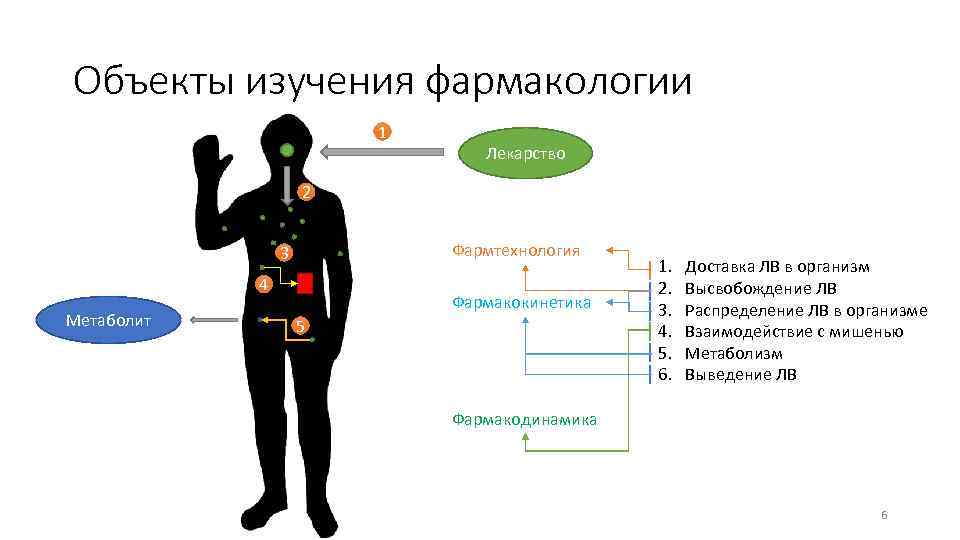 Объекты изучения фармакологии 1 Лекарство 2 Фармтехнология 3 4 Метаболит Фармакокинетика 5 1. 2.