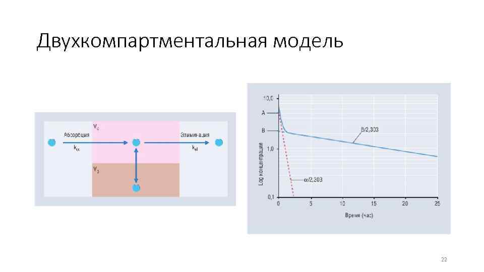 Двухкомпартментальная модель 22 