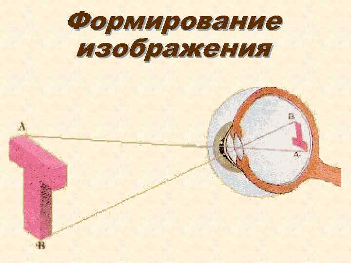 Формирование изображения 