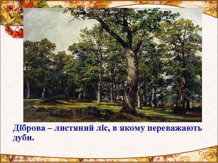 Діброва – листяний ліс, в якому переважають дуби. 