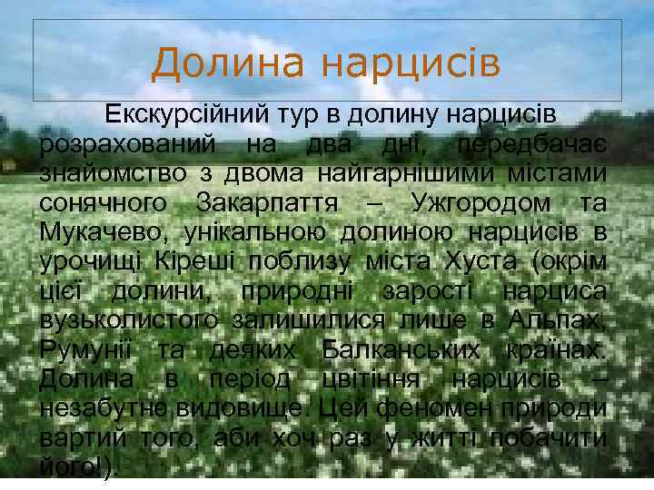 Долина нарцисів Екскурсійний тур в долину нарцисів розрахований на два дні, передбачає знайомство з