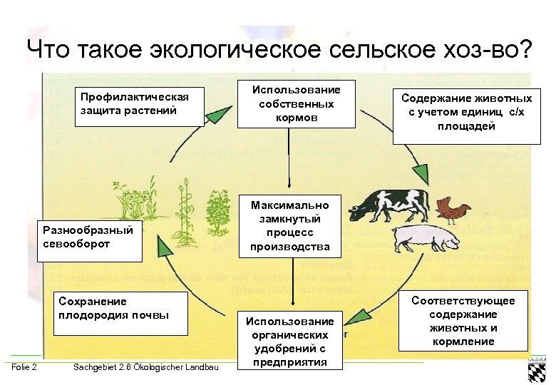 Логическая схема показывающая последствия уничтожения одного конкретного вида растений или животных