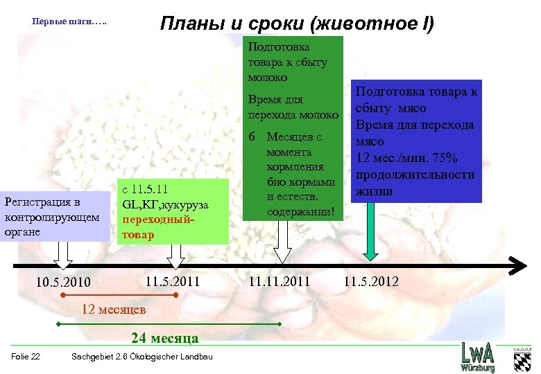 Планы и сроки (животное I) Первые шаги…. . Подготовка товара к сбыту молоко Время