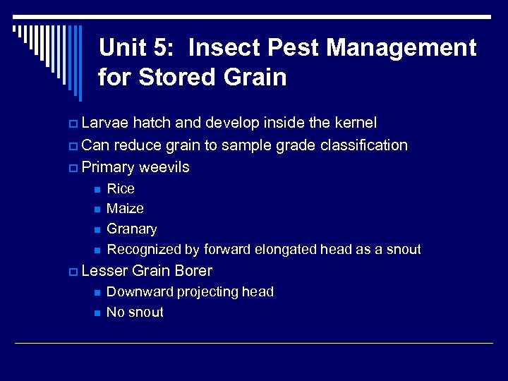 Unit 5: Insect Pest Management for Stored Grain p Larvae hatch and develop inside