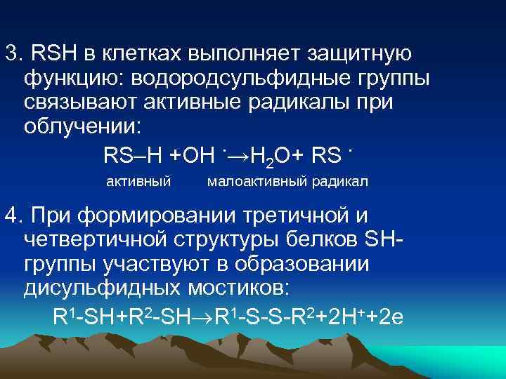 3. RSH в клетках выполняет защитную функцию: водородсульфидные группы связывают активные радикалы при облучении: