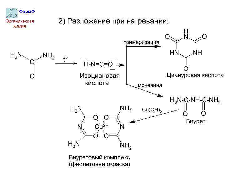 Мочевина и мочевая кислота