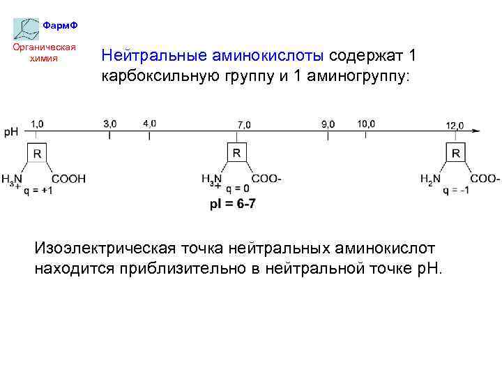 Фарм. Ф Органическая химия Нейтральные аминокислоты содержат 1 карбоксильную группу и 1 аминогруппу: Изоэлектрическая