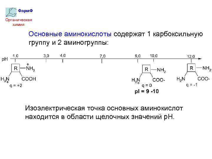 Фарм. Ф Органическая химия Основные аминокислоты содержат 1 карбоксильную группу и 2 аминогруппы: Изоэлектрическая