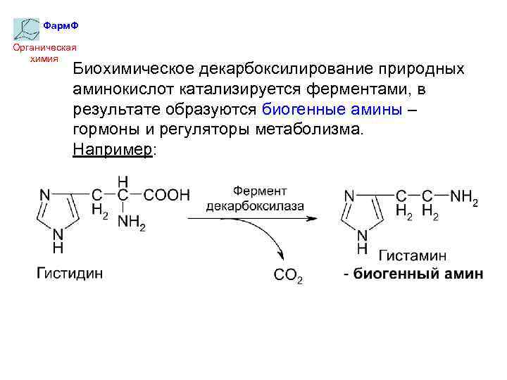 Фарм. Ф Органическая химия Биохимическое декарбоксилирование природных аминокислот катализируется ферментами, в результате образуются биогенные