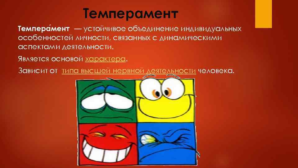 Темперамент Темпера мент — устойчивое объединение индивидуальных особенностей личности, связанных с динамическими аспектами деятельности.