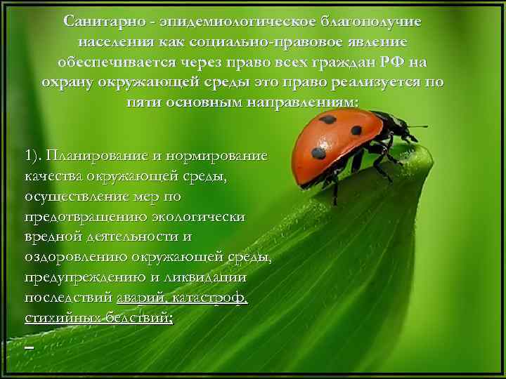 Санитарно - эпидемиологическое благополучие населения как социально-правовое явление обеспечивается через право всех граждан РФ