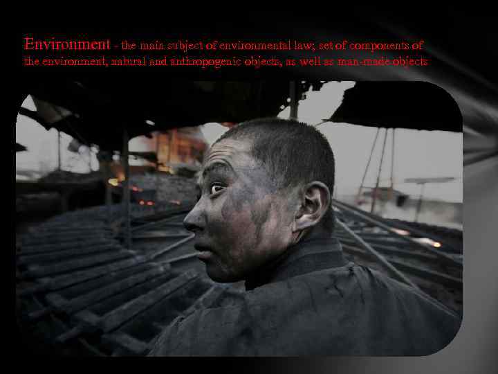 Environment - the main subject of environmental law; set of components of the environment,