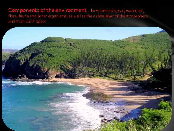 Components of the environment - land, minerals, soil, water, air, flora, fauna and other