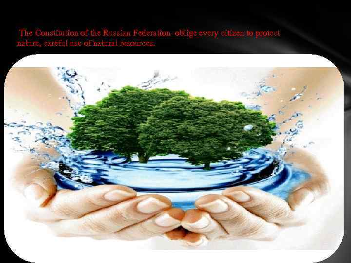 The Constitution of the Russian Federation oblige every citizen to protect nature, careful use