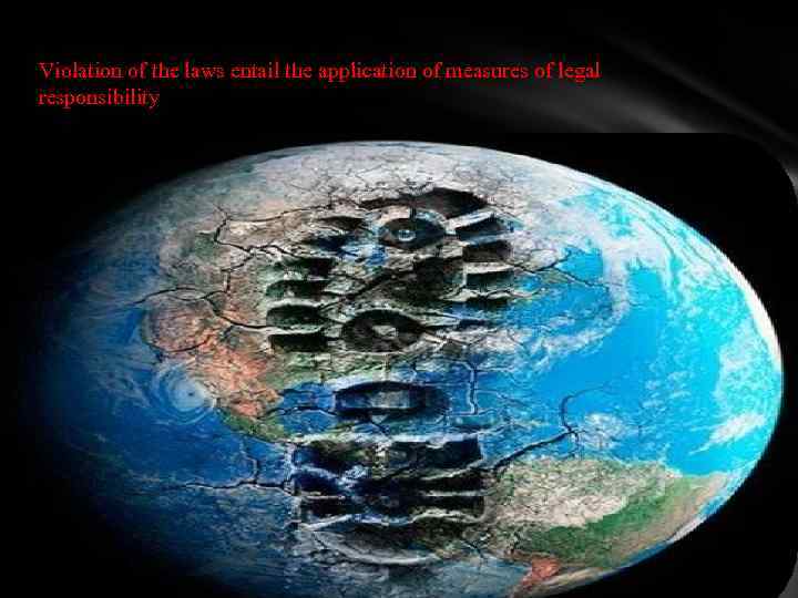 Violation of the laws entail the application of measures of legal responsibility 