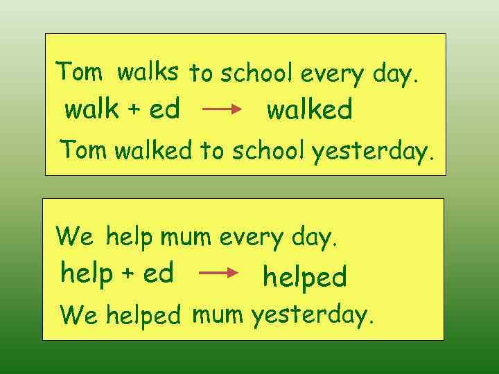Past Simple regular verbs positive Tom walks