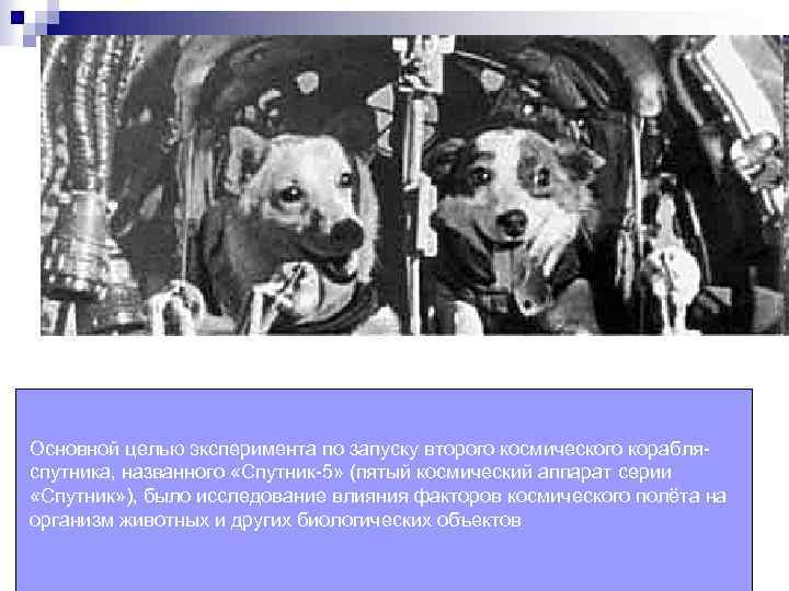 Основной целью эксперимента по запуску второго космического корабляспутника, названного «Спутник-5» (пятый космический аппарат серии