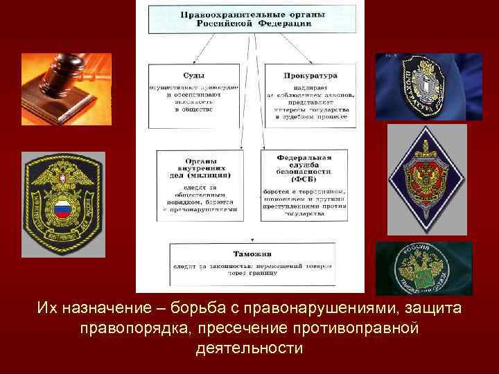 Их назначение – борьба с правонарушениями, защита правопорядка, пресечение противоправной деятельности 
