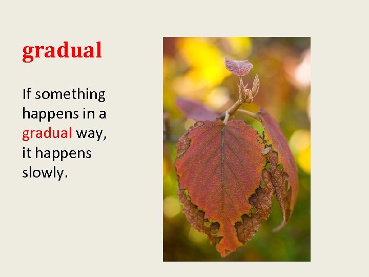 gradual If something happens in a gradual way, it happens slowly. 